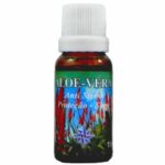 Essência mandala aloe vera